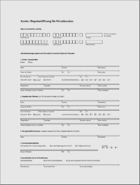 Page 1 of the scammer’s form